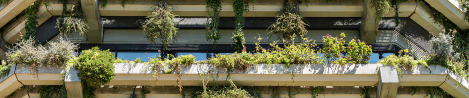 edificio arquitectura sostenible