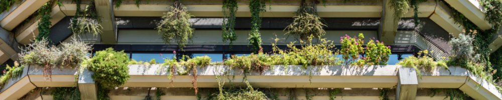 edificio arquitectura sostenible